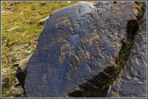 027 Chiim-Tash petroglyphs