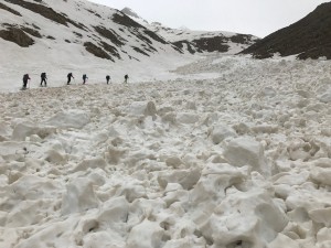 IMG 1614